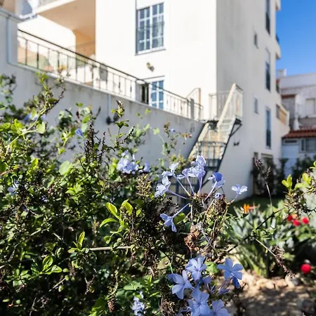 Front View Flat Armacao de Pera